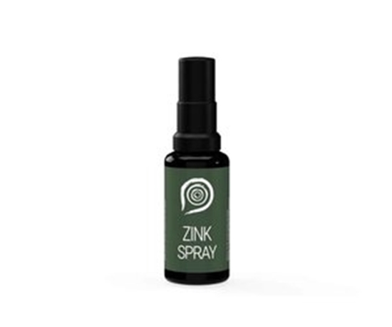 THE HEALTH FACTORY NANO ZINK SPRAY 15 ML